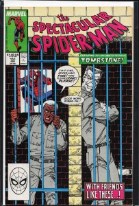 The Spectacular Spider-Man #151 (1989) Spider-Man