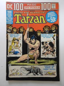 DC 100-Page Super Spectacular #19 (1973) Fine- Condition