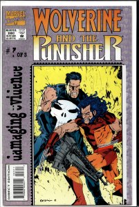 Wolverine and the Punisher: Damaging Evidence #3 (1993) Punisher