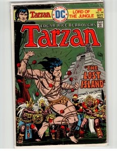 Edgar Rice Burroughs' Tarzan #241 (1975)