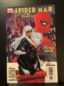 Spider-Man/Black Cat: The Evil that Men Do #4 (2006)