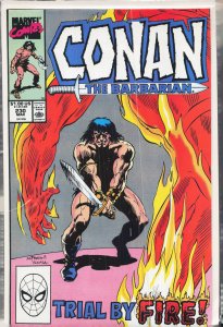 Conan the Barbarian #230 (1990) Conan