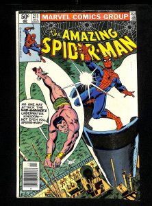 Amazing Spider-Man #211 Sub-Mariner!