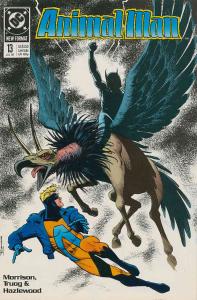 Animal Man #13 FN ; DC | Grant Morrison Brian Bolland