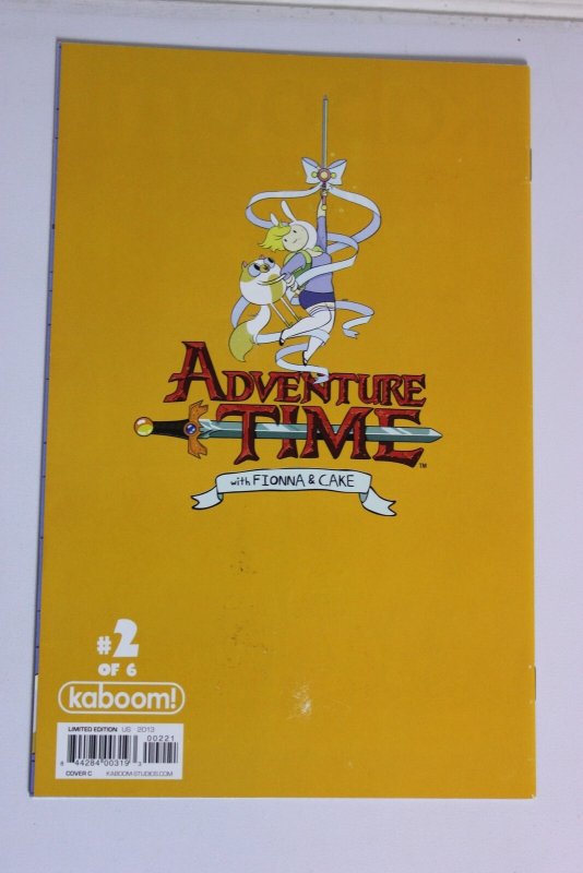 Adventure Time With Fionna & Cake #2 Cover C (2013) NM