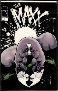 The Maxx: Maxximized #1 Variant Cover (2013)