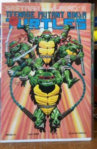 Teenage Mutant Ninja Turtles #24 (1989)