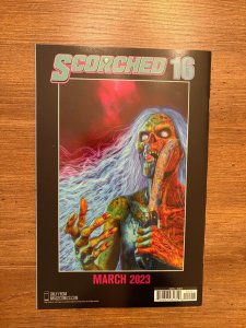 The Scorched # 15 NM 1st Print Variant Cover Image Comic Book Spawn 9 J280
