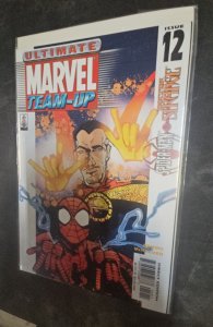 Ultimate Marvel Team-Up #12 (2002)