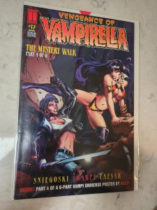 Vengeance of Vampirella #17 Chris Berkeley Cover (1995)