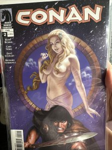 CONAN #2 (2004 DARK HORSE) BUSIEK, NORD A2