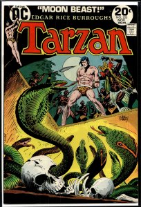 Edgar Rice Burroughs' Tarzan #225 (1973)