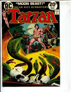 Tarzan #225  1973 - DC  -NM- - Comic Book