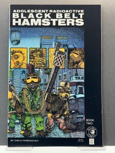 Adolescent Radioactive Black Belt Hamsters #2 (1986)