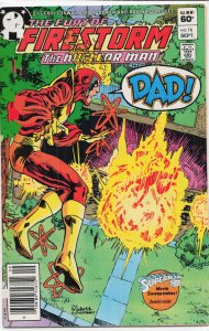 The Fury of Firestorm #16 (1983) Firestorm