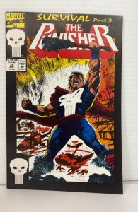 The Punisher #79 (1993)