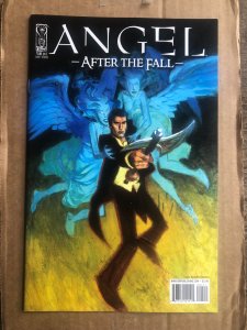 Angel After the Fall #4 cover b