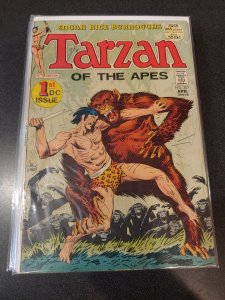 TARZAN #208 1st dc issue