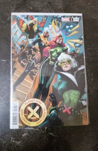 Planet-Size X-Men Variant Cover (2021)