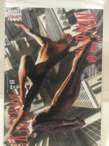 Daredevil/Spider-Man #2 (2001)