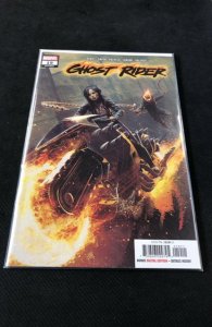 Ghost Rider #19 (2023)