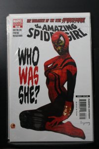 The Amazing Spider-Girl #13 (2008)
