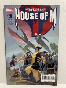 House Of M #1 (B)