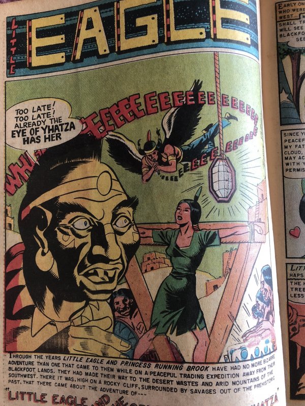 Indian fighter 10, reader, wild bondage& clown stories