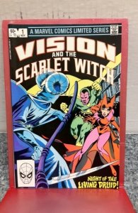 Vision and the Scarlet Witch #1 (1982)