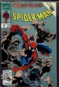 Spider-Man #29 (1992) Spider-Man
