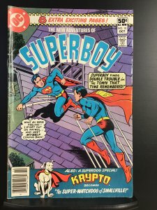 The New Adventures of Superboy #10 (1980)