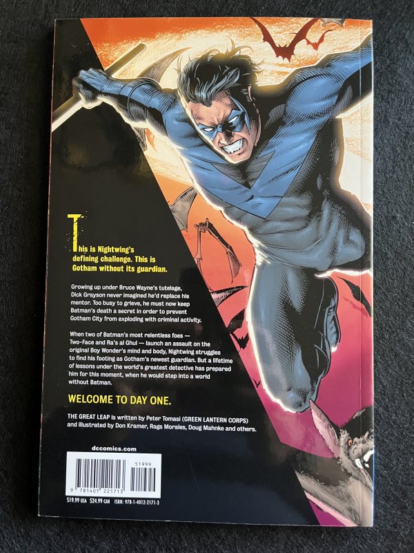 Nightwing: The Great Leap  (2009)