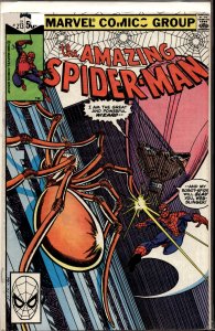 The Amazing Spider-Man #213 Direct Edition (1981) Spider-Man