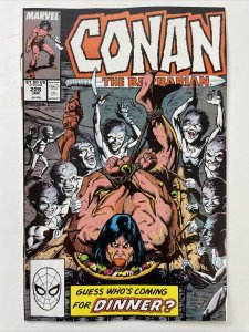 Conan The Barbarian 228