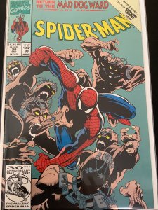 Spider-Man #29 (1992)