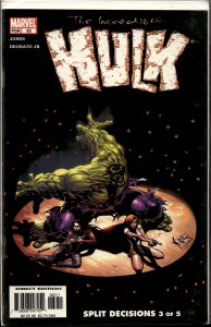 Incredible Hulk #58 Direct Edition (2003) Hulk