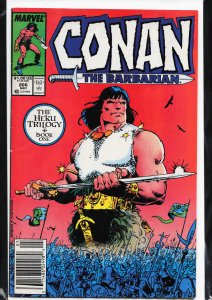 Conan the Barbarian #206 Newsstand Edition (1988) Conan