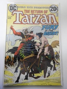 Edgar Rice Burroughs' Tarzan #220 (1973)