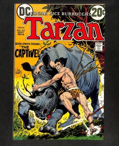 Tarzan (1972) #212