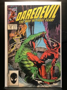 Daredevil #247 (1987)