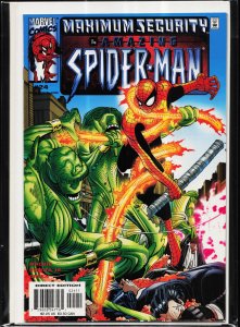The Amazing Spider-Man #24 (2000) Spider-Man
