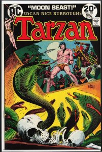 Edgar Rice Burroughs' Tarzan #225 (1973)