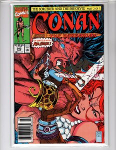 Conan the Barbarian #242 (1991) Mid-Grade - [NSC•ECA9]
