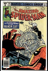 The Amazing Spider-Man #205 (1980) Spider-Man