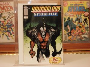 Youngblood Strikefile #1 (1993)