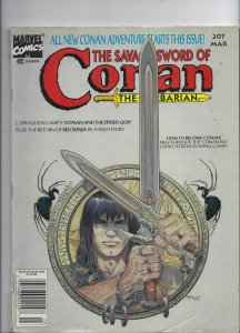 The Savage Sword of Conan #207 (1993)