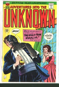 Adventures into the Unknown #169 (1966)