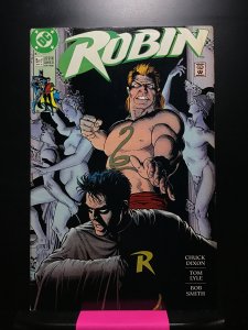 Robin #5 (1991)