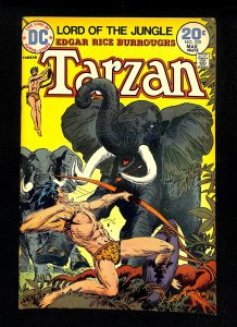 Tarzan (1972) #229