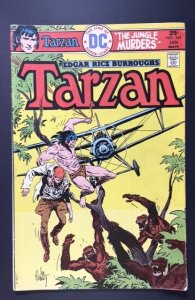 Edgar Rice Burroughs' Tarzan #245 (1976)